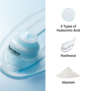 DIVE-IN Low Molecular Hyaluronic Acid Soothing Cream 100ml