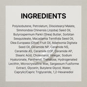 SOLID IN Ceramide Lip Essence