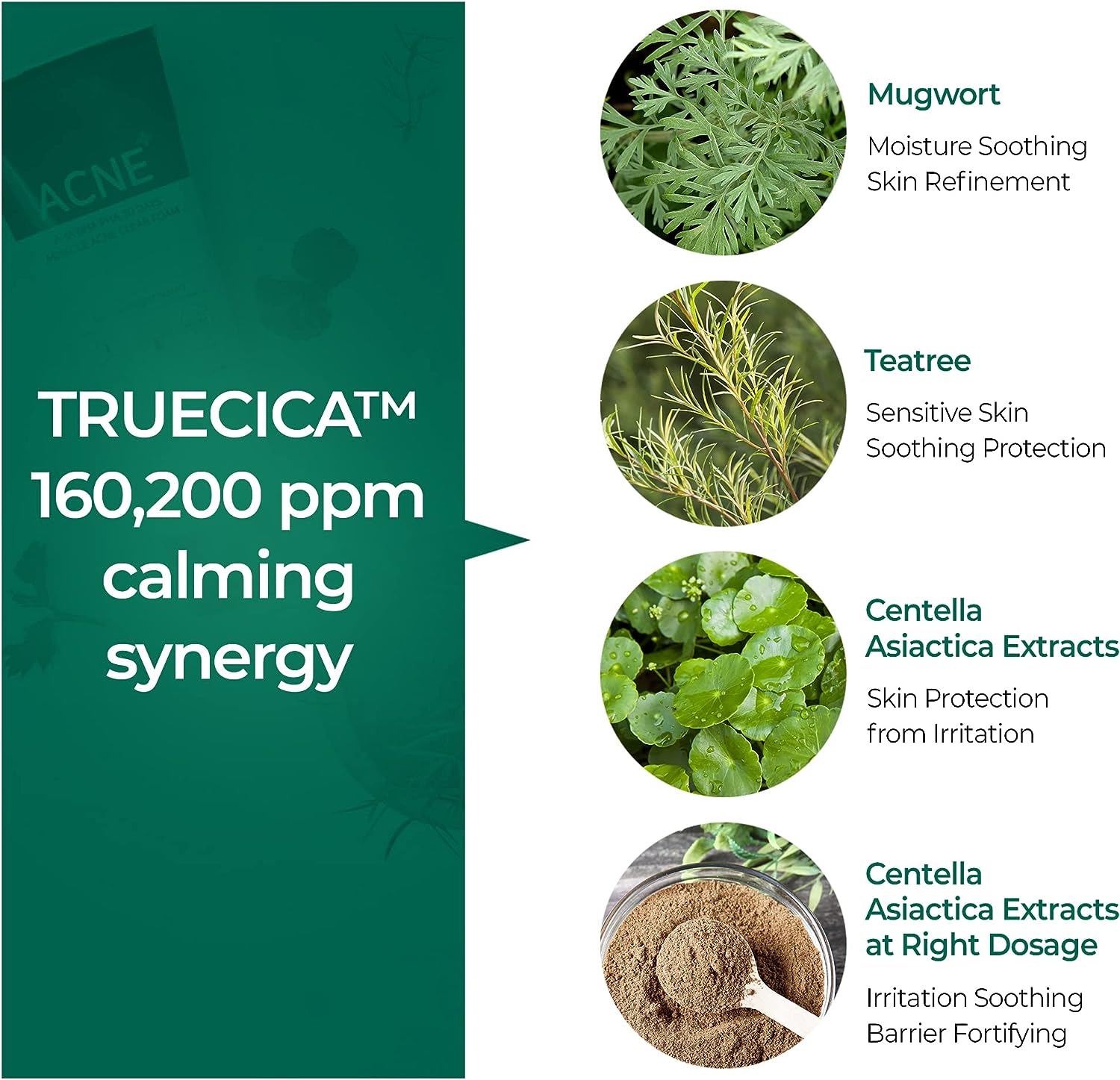 AHA BHA PHA 30 Days Miracle Acne Clear Foam 100ml