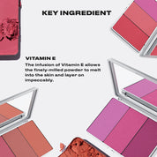 Powder Blush Insert