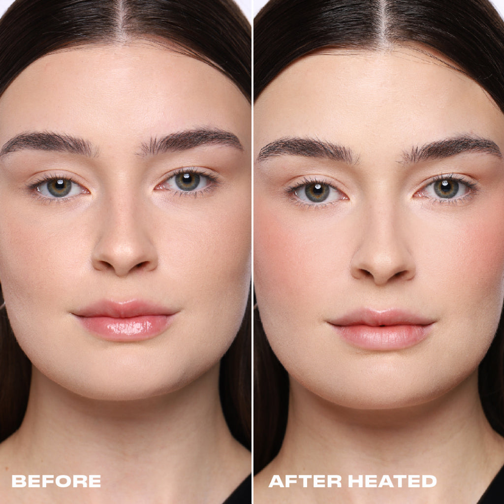 Powder Blush Insert