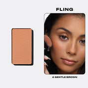 Powder Blush Insert
