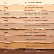 Skin So Good Daily Tinted Oil-Free Moisturizer