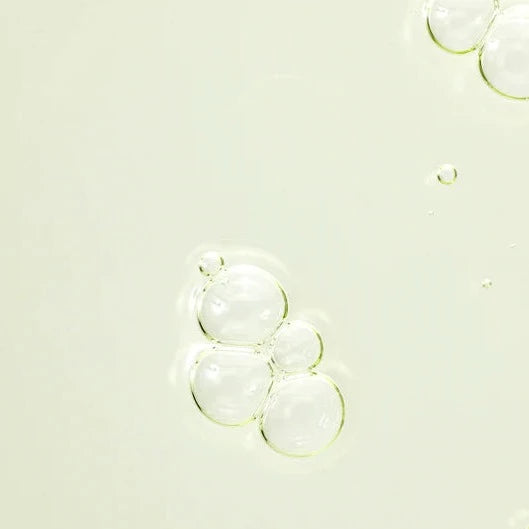 0O8A0810_540x_faa3f72d-49e5-4d33-bdf9-8a3a0d9da62a.webp