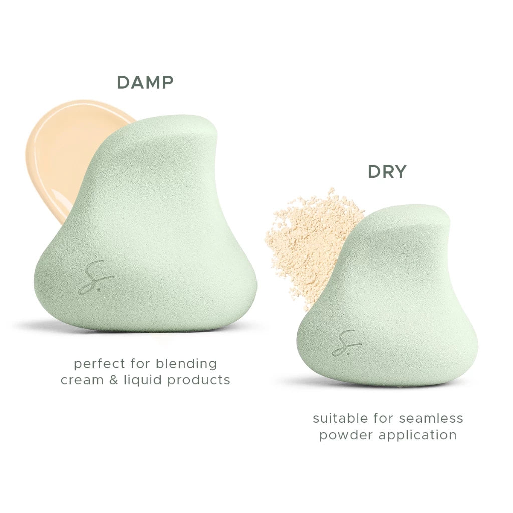 Complexion Pro Beauty Sponge