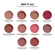 Dew It All Liquid Blush