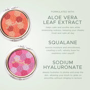 Sakura Mosaic Blush
