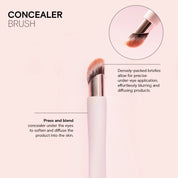 Face and Eye Travel Brush Set