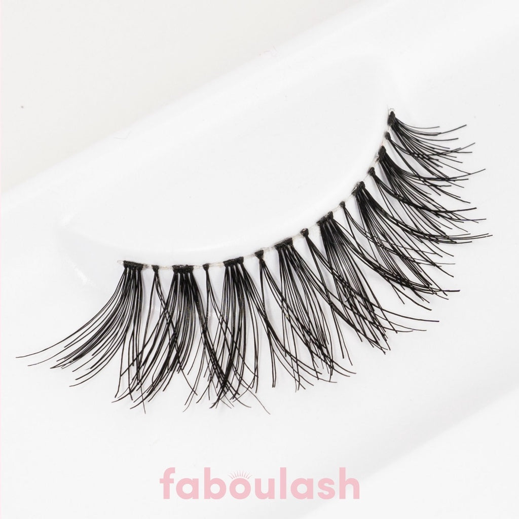 Lash WSP